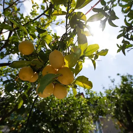 Yourhome - San Valerio Sorrento