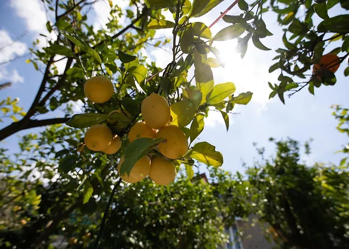 Yourhome - San Valerio سورينتو